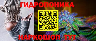 спайс Гусь-Хрустальный