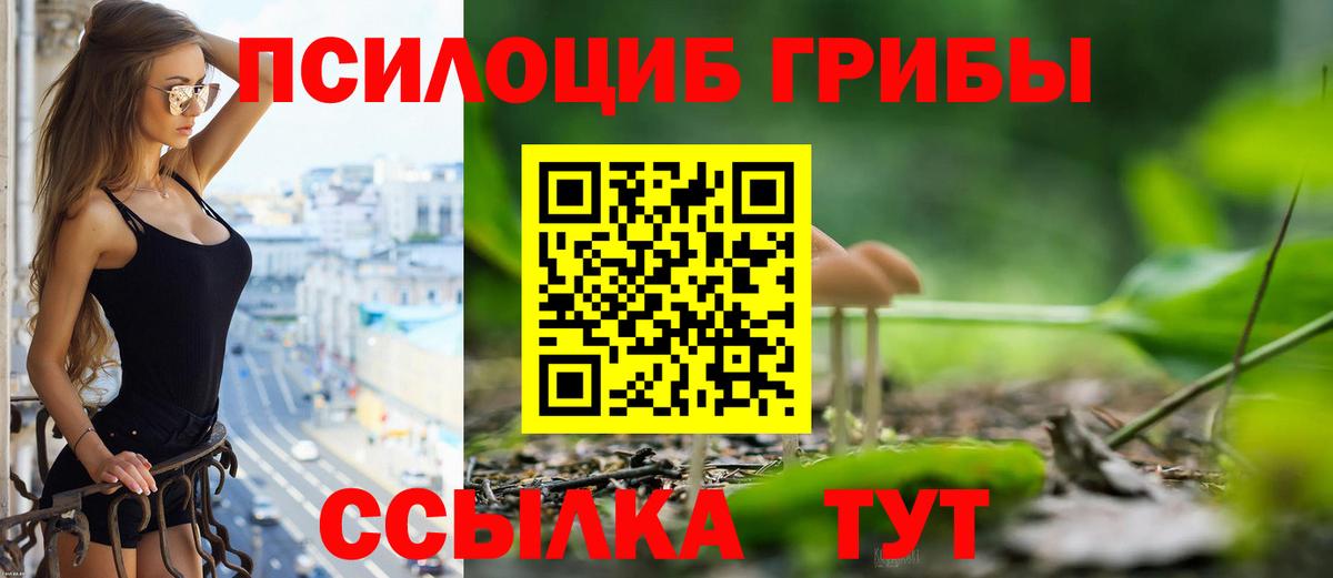 Мелеуз  Галлюциногенные грибы Cubensis  Вход с VPN 